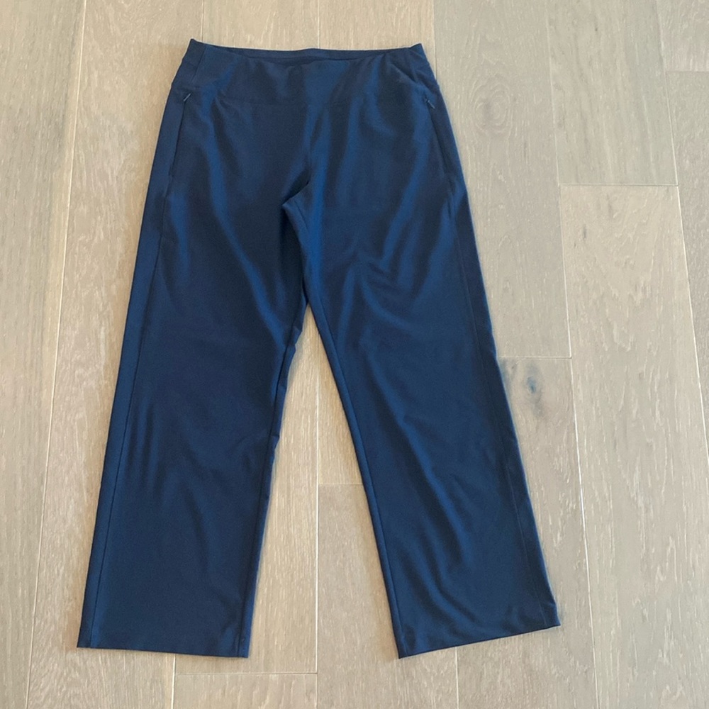 Brand new The North Face blue pants. Size large. Side zip pockets.